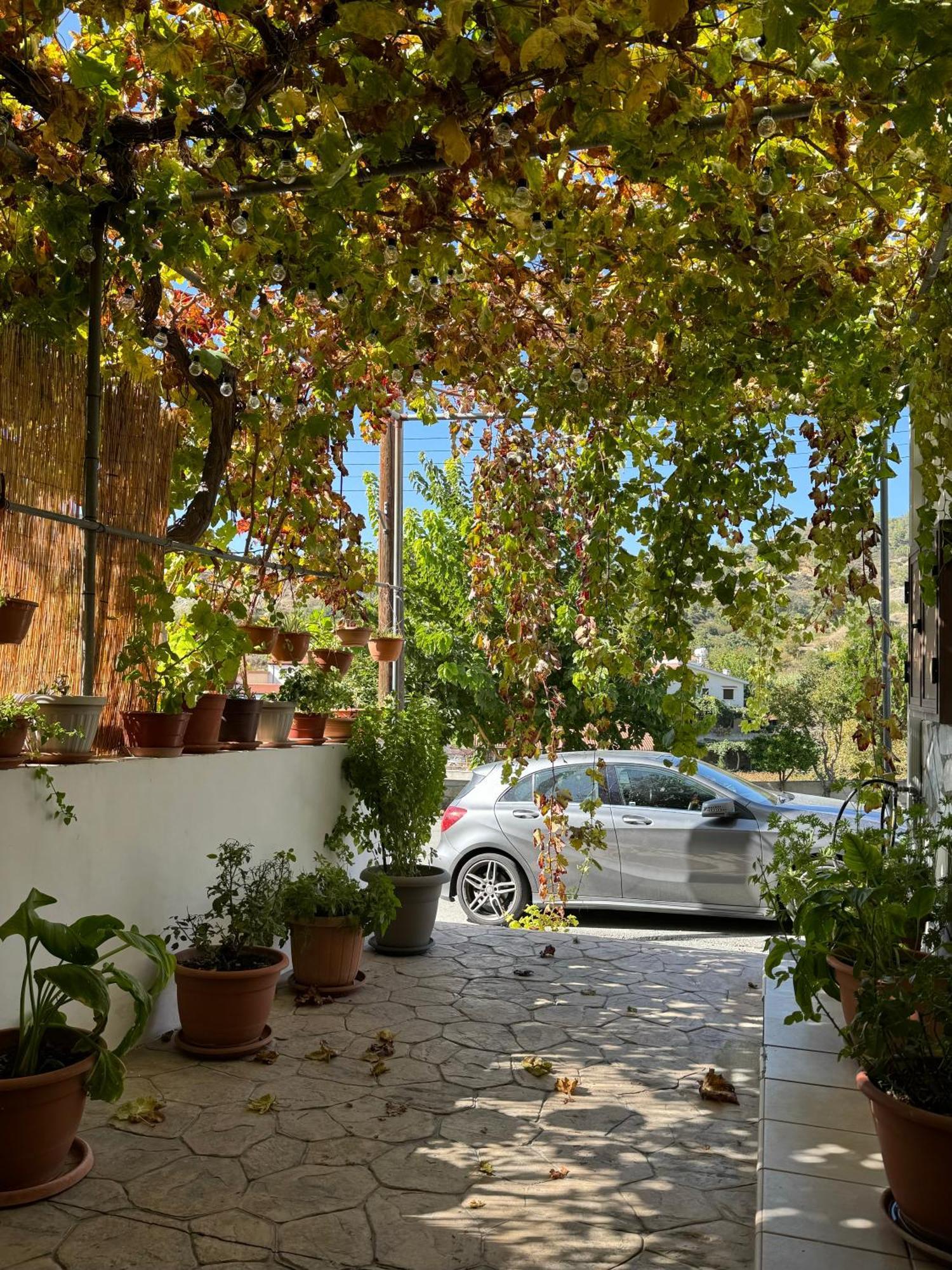 Στου Στεφανή Villa Agros Bagian luar foto